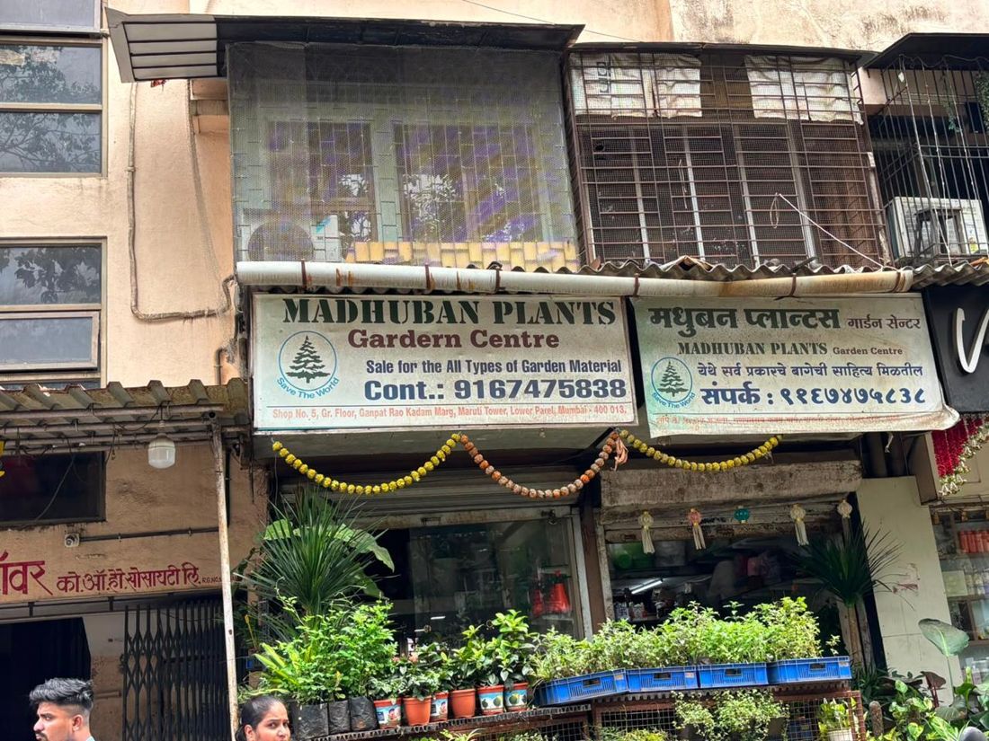 Madhuban Plants Garden Centre, Home & Gifts